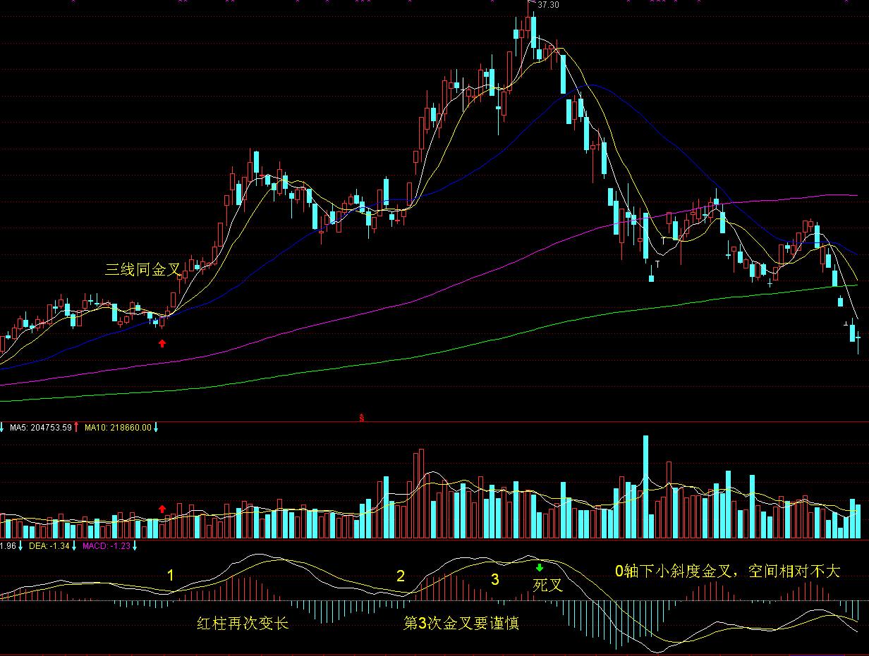  被蛇咬后怎么自救？湛江蛇伤救治专家划重点